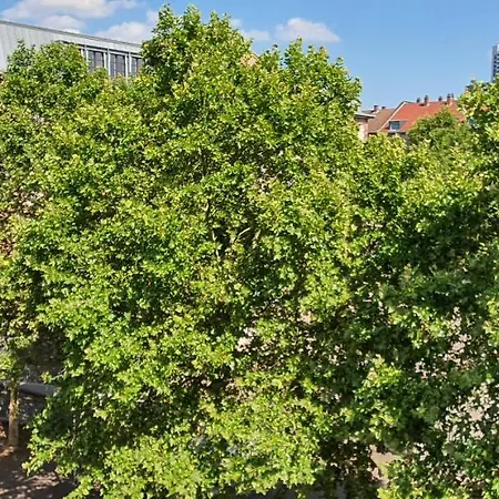 Sonniges Mit Balkon Im Herzen Mannheims